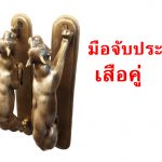 มือจับประตูสวยๆ – เสือคู่