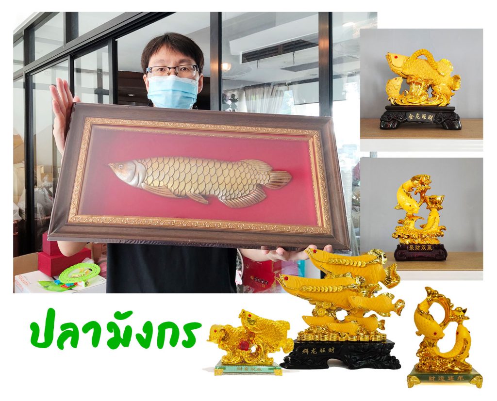 ปลามังกรมงคล